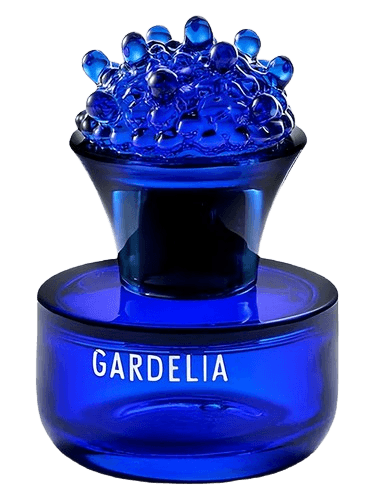 Bogue Gardelia 2025