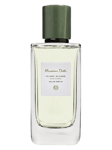 Massimo Dutti Island Accord