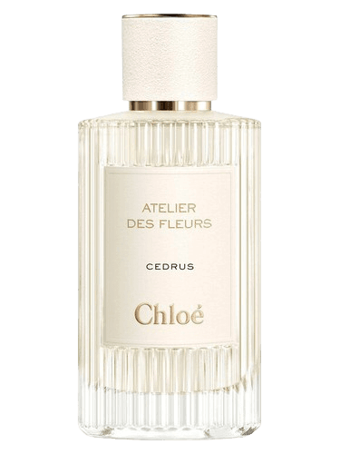 Chloé Cedrus
