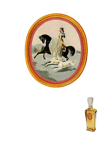 Jean d'Albret Casaque