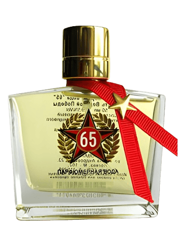 Новая Заря (The New Dawn) 65 Лет Великой Победы (65 Years Of The Great Victory in the WWII)