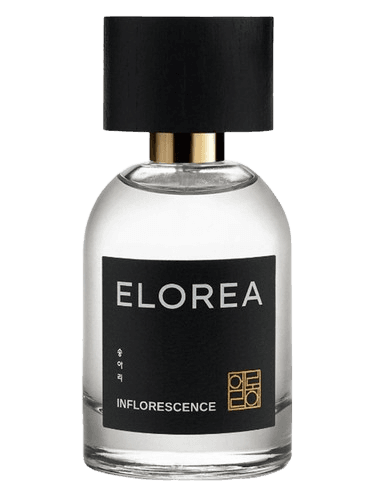 ELOREA | 향수 INFLORESCENCE (송아리)