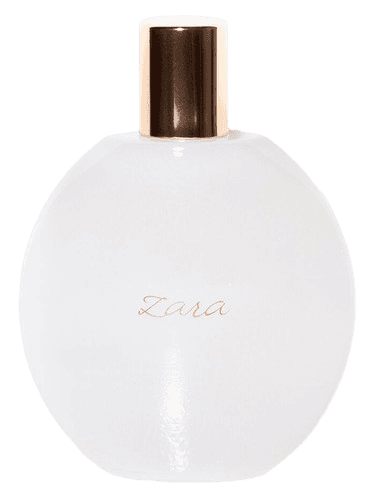 Zara Zara Femme 2013