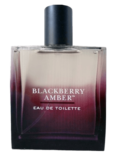 Bath & Body Works Blackberry Amber