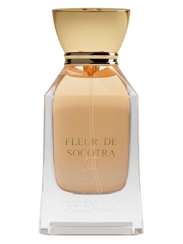 Phenom Fleur de Socotra