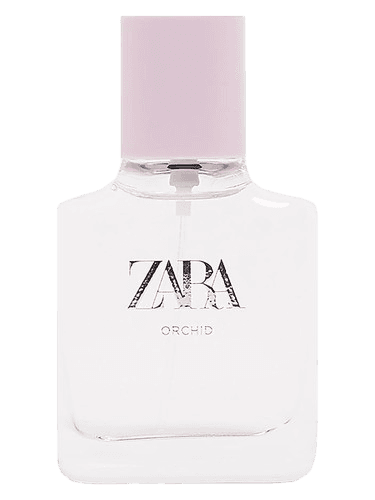 Zara Orchid 2019