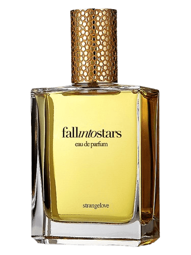 Strangelove NYC Fall Into Stars