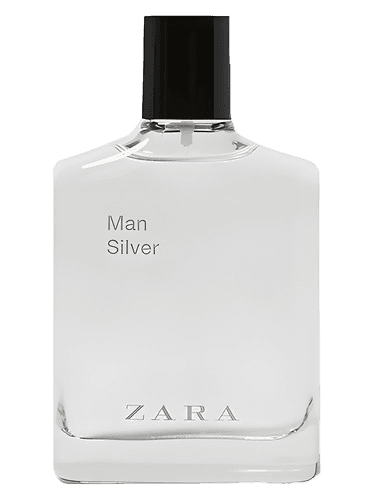 Zara Man Silver
