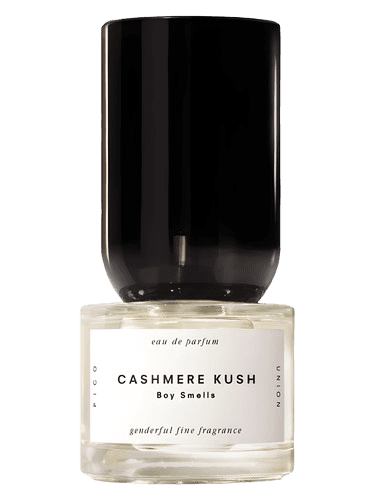 Boy Smells Cashmere Kush