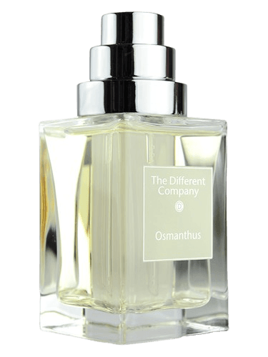 The Different Company Osmanthus