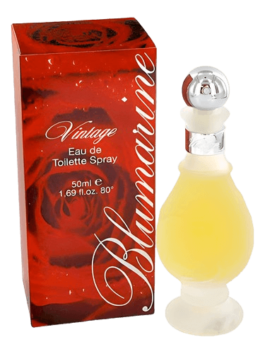 Blumarine Vintage