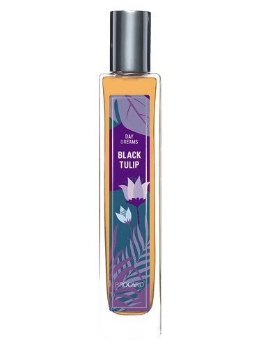 Brocard Black Tulip