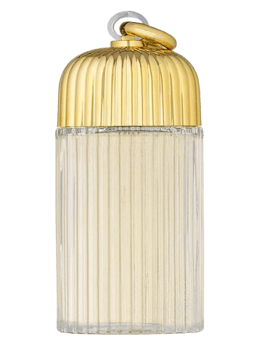 Cage Cage For Women