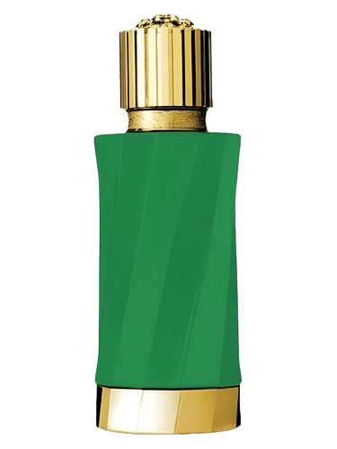 Versace Patchouli Précieux