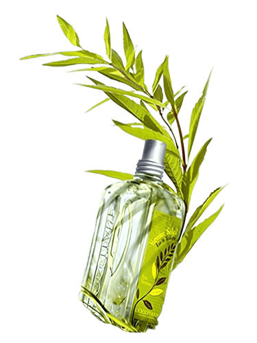 L'Occitane en Provence Verbena Sun