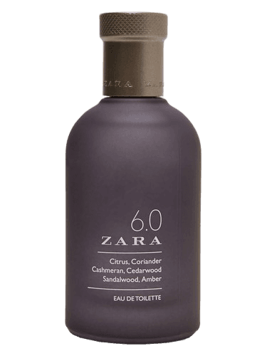 Zara 6.0 Zara
