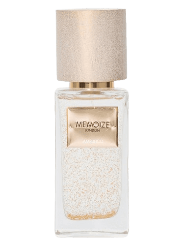 Memoize London Amplifico