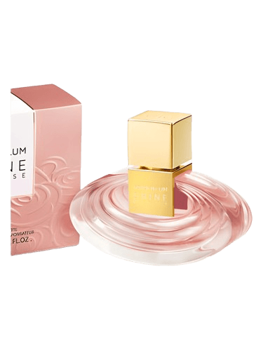 Heidi Klum Shine My Rose