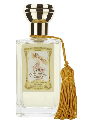 Oriza L. Legrand Foin Fraichement Coupe