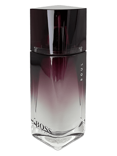 Hugo Boss Boss Soul