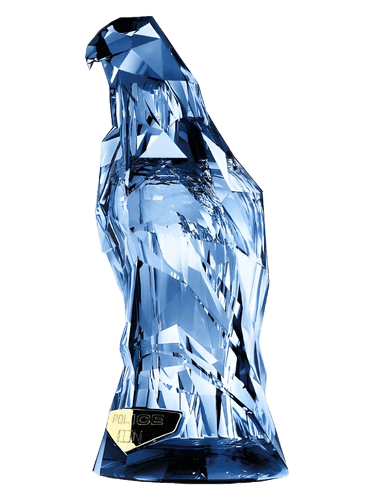 Police Icon