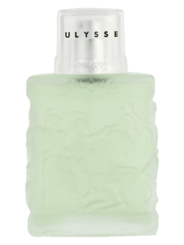 Vicky Tiel Ulysse