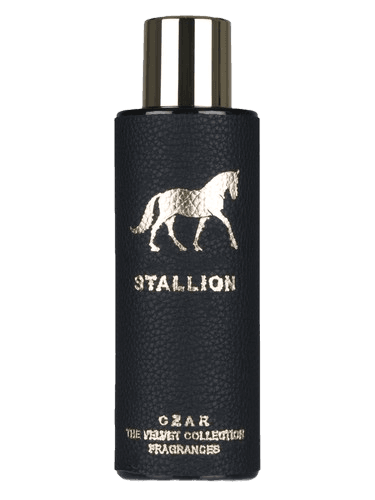 CZAR Stallion X Aslan Gülçiçek