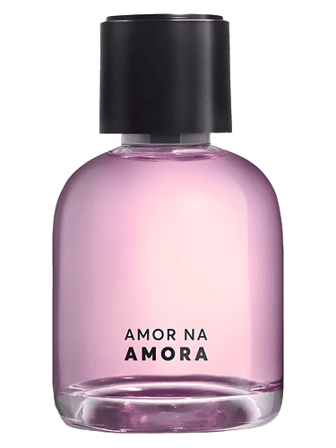 Quem Disse Berenice Amor na Amora