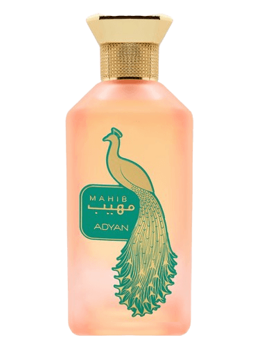 Adyan by Anfar Mahib