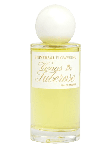 Universal Flowering Venus in Tuberose