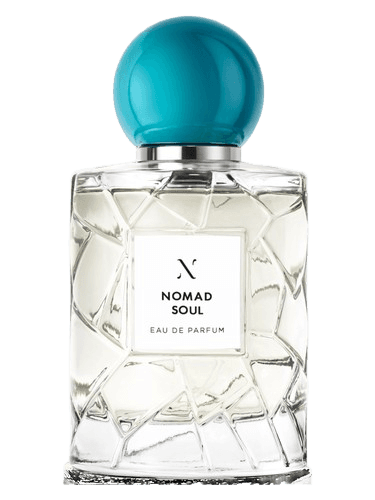 Les Soeurs de Noe Nomad Soul