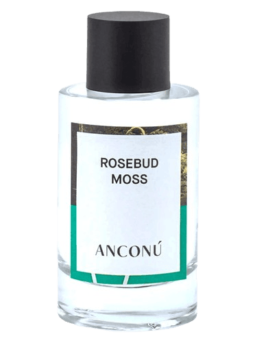 Anconu Rosebud Moss