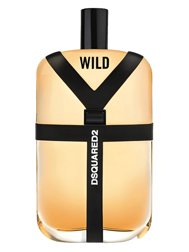 DSQUARED² Wild