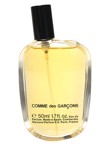Comme des Garcons Comme des Garcons