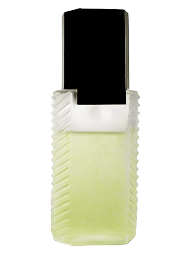 Avon Eau Givree