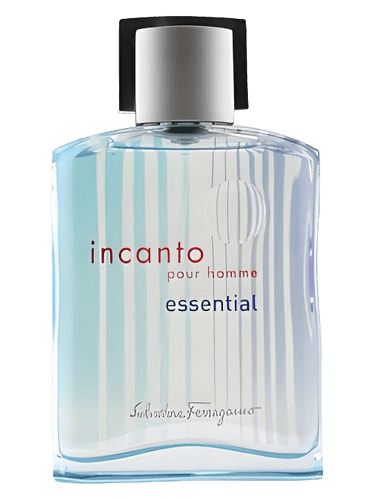 Salvatore Ferragamo Incanto Essential Pour Homme