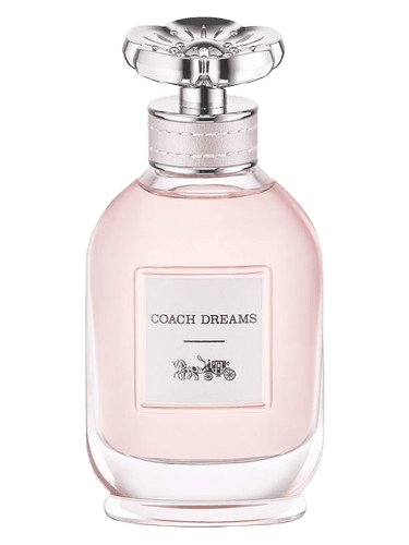 Coach Coach Dreams