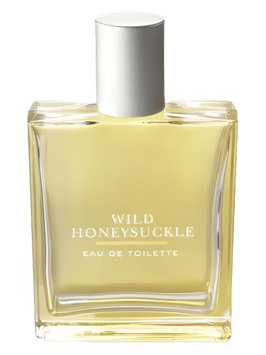 Bath & Body Works Wild Honeysuckle