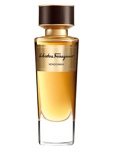 Salvatore Ferragamo Vendemmia