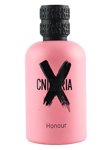Samam Cnidaria X Honour