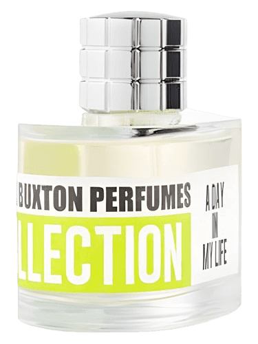Mark Buxton A Day in My Life