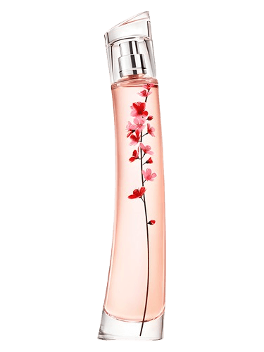 Kenzo Flower Ikebana Sakura