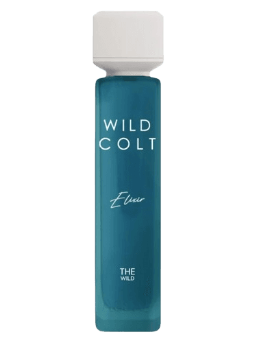 Assaf Wild Colt