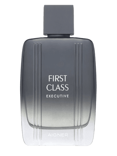 Etienne Aigner First Class Executive