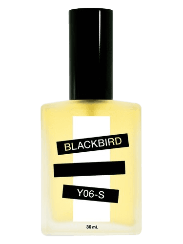 Blackbird Y06-S