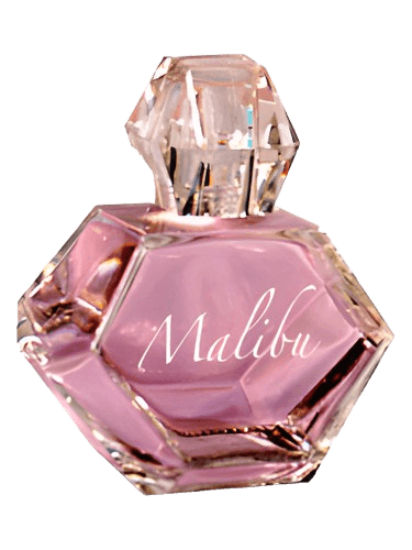 Pamela Anderson Malibu Night