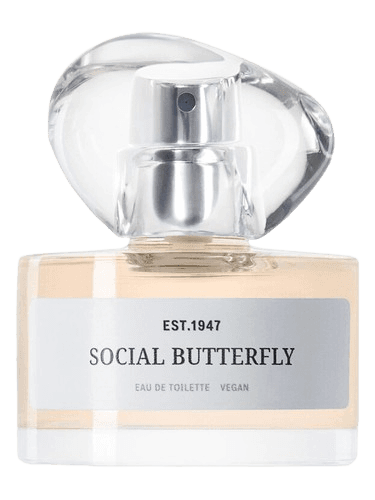 H&M Social Butterfly