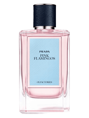 Prada Pink Flamingos