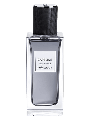 Yves Saint Laurent Capeline