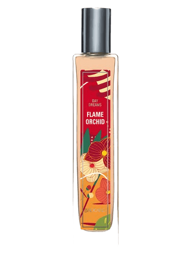 Brocard Flame Orchid